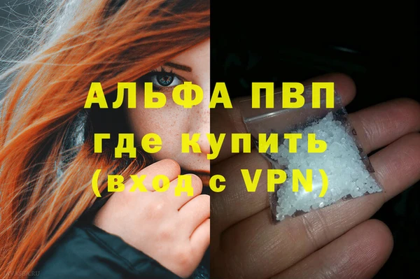 стаф Арсеньев