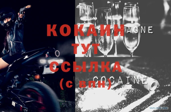 стаф Арсеньев
