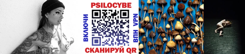 Галлюциногенные грибы мухоморы  где найти наркотики  Спасск 